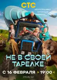 Не в своей тарелке (сериал, )